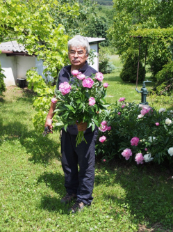 J�zsef, 73 �ves t�rskeres� f�rfi, Szentendre