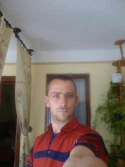 Bal�zs, 41 �ves t�rskeres� f�rfi, �rt�ny