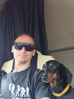 Bal�zs, 45 �ves t�rskeres� f�rfi, Zalaegerszeg