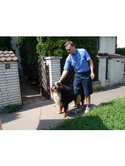 laszlo, 66 éves társkereső férfi, Budapest