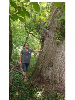 Mih�ly, 55 �ves t�rskeres� f�rfi, F�t