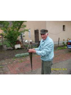 G�bor, 72 �ves t�rskeres� f�rfi, �cs�d