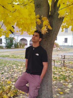G�bor, 19 �ves t�rskeres� f�rfi, Pilis