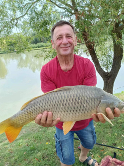 Istv�n, 57 �ves t�rskeres� f�rfi, Gyula