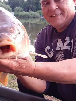 L�szl�, 62 �ves t�rskeres� f�rfi, V�rpalota