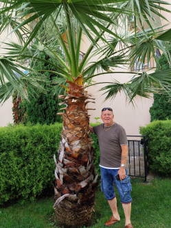 Anti, 63 �ves t�rskeres� f�rfi, Szolnok