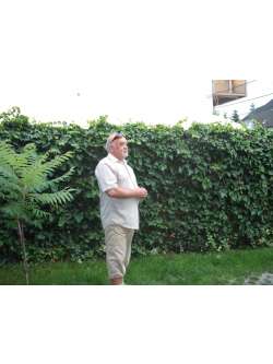 Zsolt, 71 �ves t�rskeres� f�rfi, Miskolc