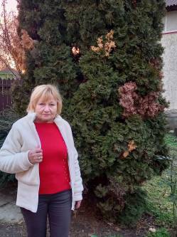 Ilona, 65 �ves t�rskeres� n�, Cserkesz�l�