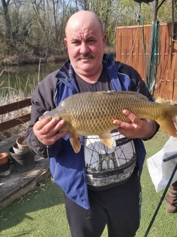 Istvan, 58 �ves t�rskeres� f�rfi, Bihar