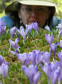 N�ra, 65 �ves t�rskeres� n�, B�k�scsaba