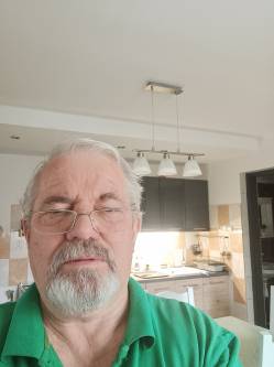 S�ndor, 72 �ves t�rskeres� f�rfi, B�tonyterenye