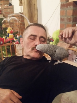 Imre, 63 �ves t�rskeres� f�rfi, Nemeshet�s