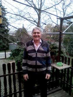 Tam�s, 74 �ves t�rskeres� f�rfi, Budapest
