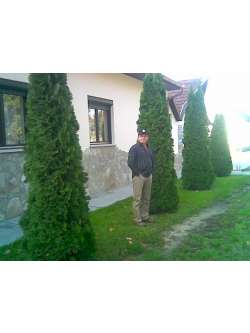 Zolt�n, 69 �ves t�rskeres� f�rfi, Barcs