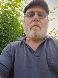 Dod�, 71 �ves t�rskeres� f�rfi, Solym�r