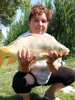 Edit, 64 �ves t�rskeres� n�, Usz�d