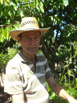 P�l Tibor, 61 �ves t�rskeres� f�rfi, Cs�sz�r