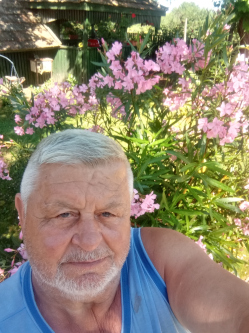 S�ndor, 71 �ves t�rskeres� f�rfi, Pilis