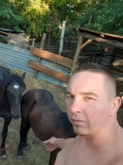 Istvan, 31 �ves t�rskeres� f�rfi, Tat�rszentgy�rgy