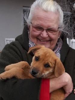 Sara, 71 �ves t�rskeres� n�, G�d�ll�