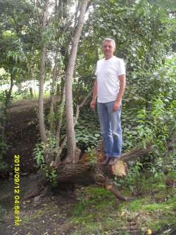 Gy�rgy, 61 �ves t�rskeres� f�rfi, Solt
