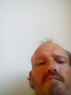 albert, 47 �ves t�rskeres� f�rfi, Budapest