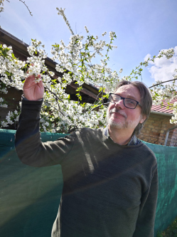 Tibor, 58 �ves t�rskeres� f�rfi, G�d�ll�