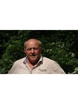 Tam�s, 73 �ves t�rskeres� f�rfi, Gy�r
