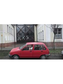 S�ndor, 60 �ves t�rskeres� f�rfi, Berkesd