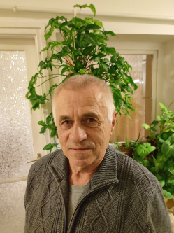 L�szl�, 75 �ves t�rskeres� f�rfi, Kunszentm�rton
