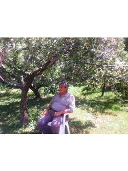 Sandor, 69 �ves t�rskeres� f�rfi, Kalocsa